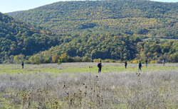 archeology2_250x154_crop_478b24840a