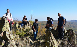 archeology4_250x154_crop_478b24840a