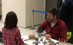 arh-3_250x154_crop_478b24840a