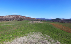 archeology1_250x154_crop_478b24840a