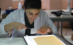 img-6879-7851_250x154_crop_478b24840a