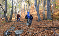 img-8026_250x154_crop_478b24840a