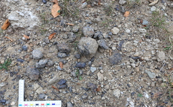 img-8072_250x154_crop_478b24840a