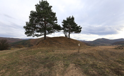 img-8211_250x154_crop_478b24840a