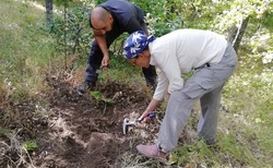 img-20200921-115208_250x154_crop_478b24840a