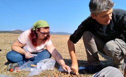 img-20200923-110623_250x154_crop_478b24840a