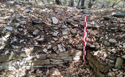 img-20200925-115424_250x154_crop_478b24840a