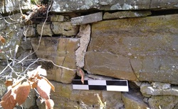 img-20200927-110803_250x154_crop_478b24840a