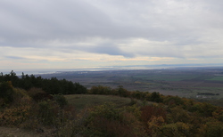 img-8798_250x154_crop_478b24840a