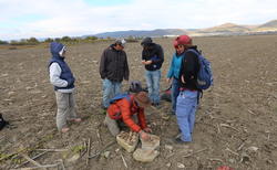 img-8931_250x154_crop_478b24840a