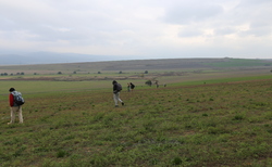 img-8963_250x154_crop_478b24840a