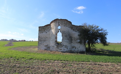 img-8994_250x154_crop_478b24840a