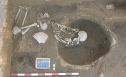 fig-36_250x154_crop_478b24840a