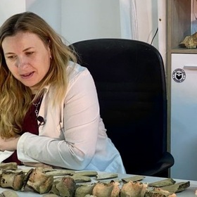 nadejda-karastoianova-alumni-bta_280x280_crop_478b24840a