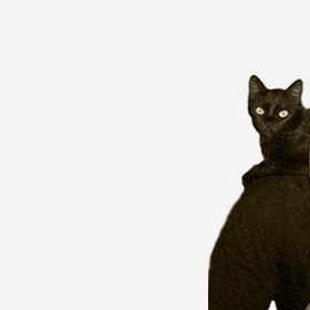 tellalov_280x280_crop_478b24840a