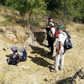 img-20200920-133616_280x280_crop_478b24840a