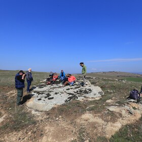 167919596-274809707479574-5485378584961426537-n_280x280_crop_478b24840a