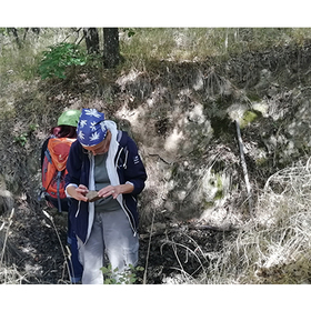 img-20200920-120703_280x280_crop_478b24840a