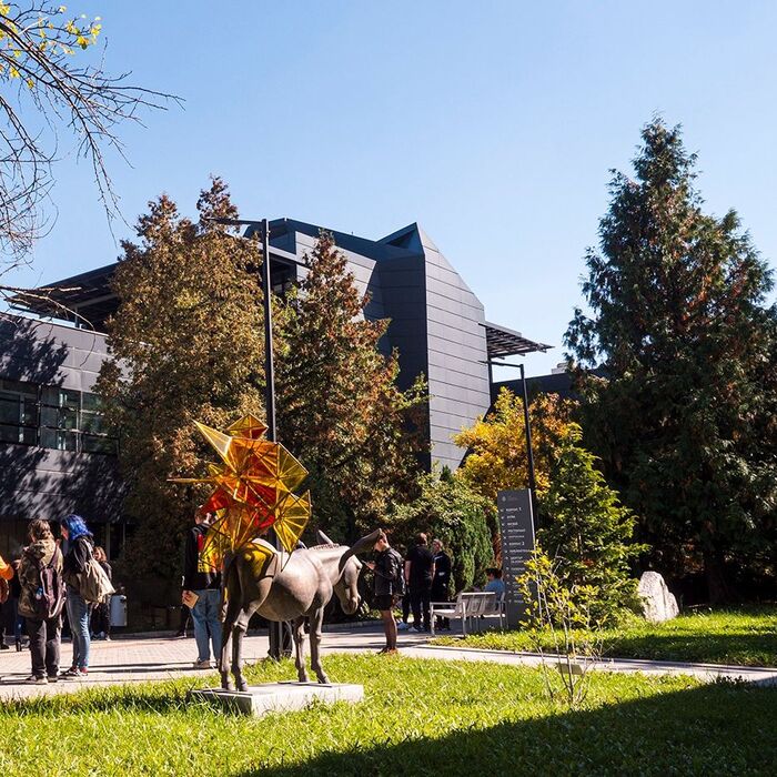 galeria-uniart_700x700_crop_478b24840a