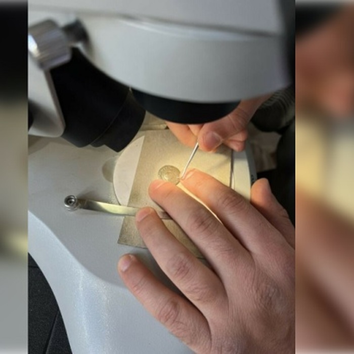 rimska-bronzova-moneta-bta_700x700_crop_478b24840a