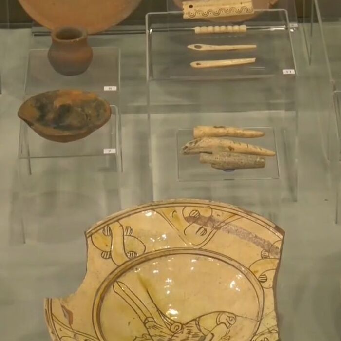 018-bnt_700x700_crop_478b24840a