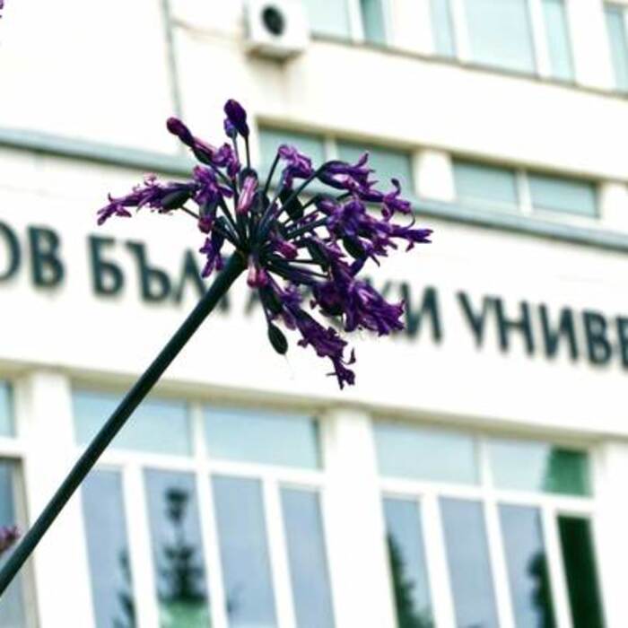 enterance-nbu_700x700_crop_478b24840a