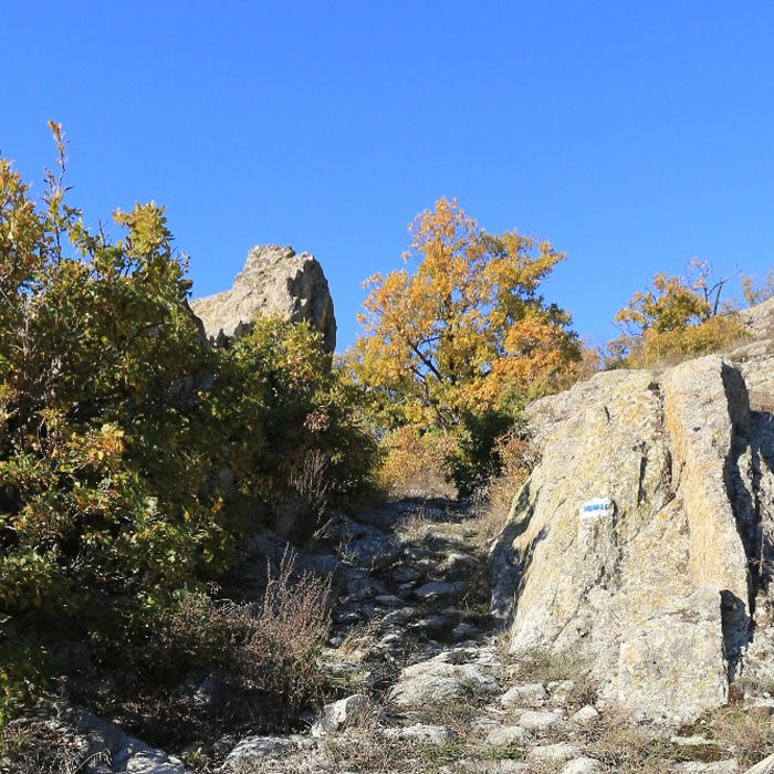 archeology1_700x700_crop_478b24840a