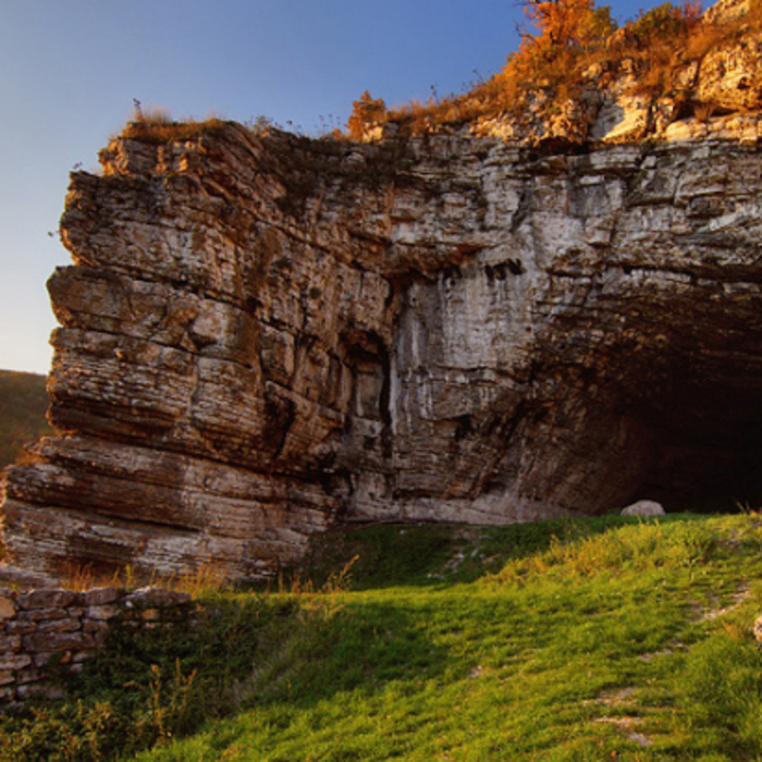 10-te_700x700_crop_478b24840a