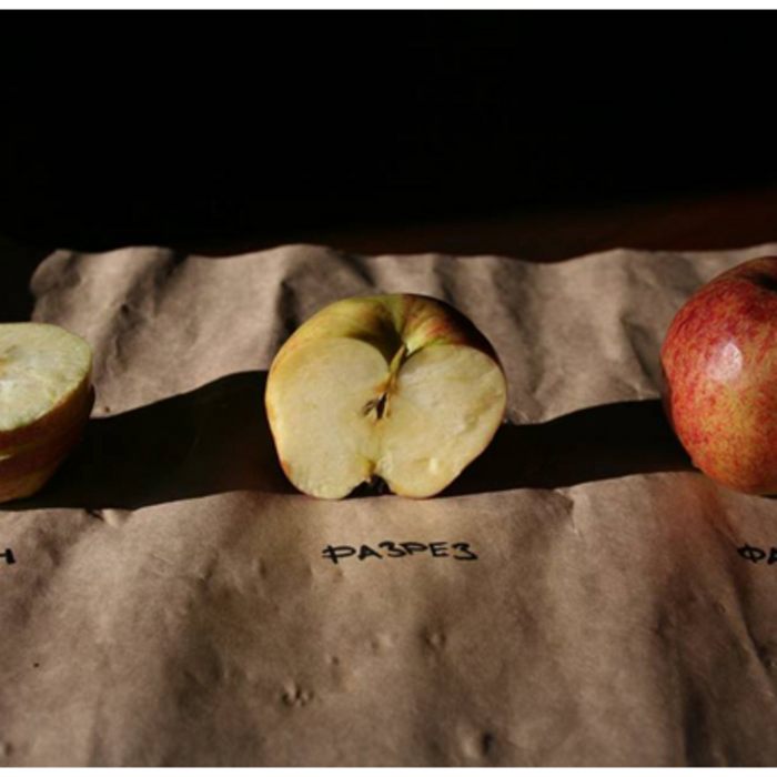 plan_700x700_crop_478b24840a