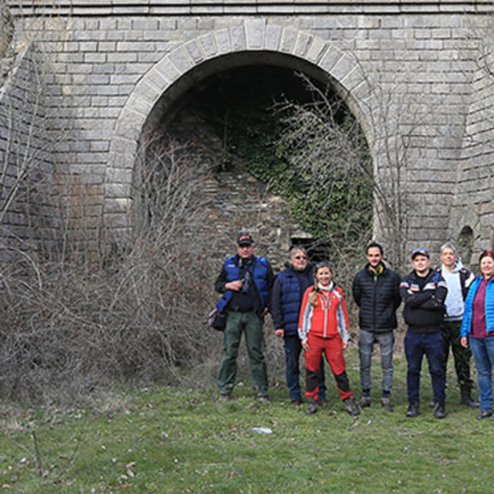 102-novi_700x700_crop_478b24840a