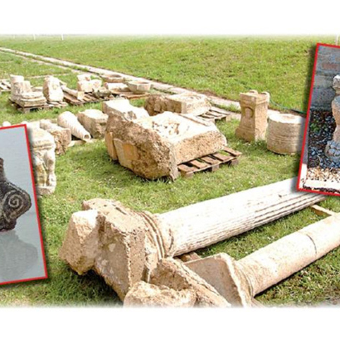 raciariq_700x700_crop_478b24840a