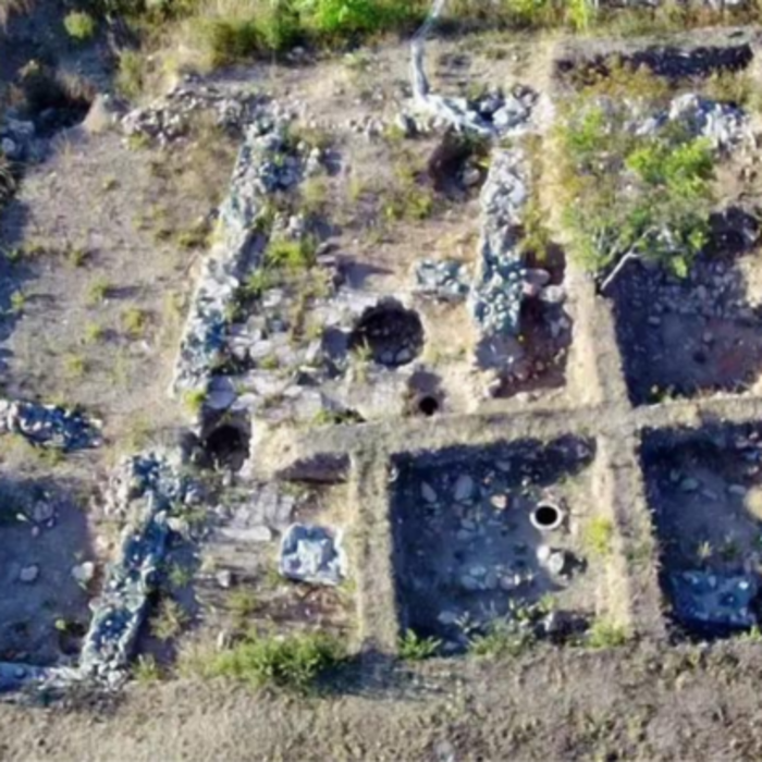 01-darik-678x410-crop-478b24840a_700x700_crop_478b24840a