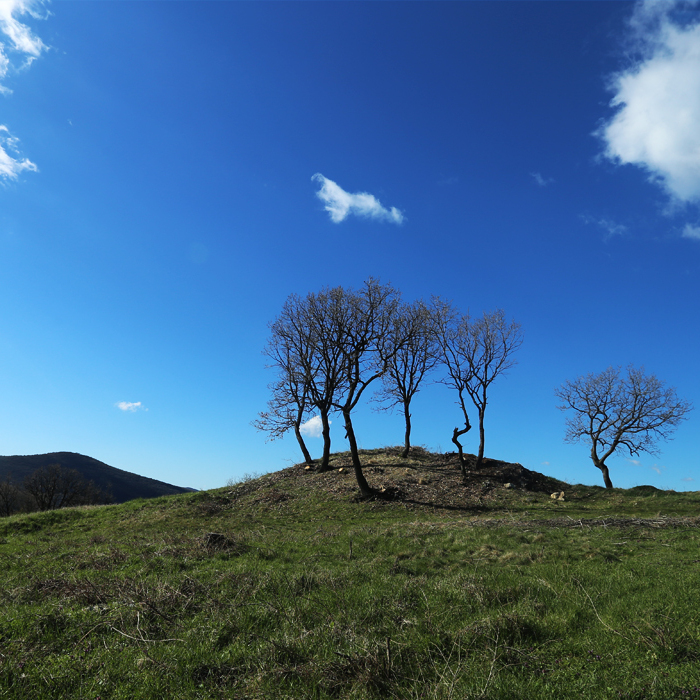 archeology3_700x700_crop_478b24840a