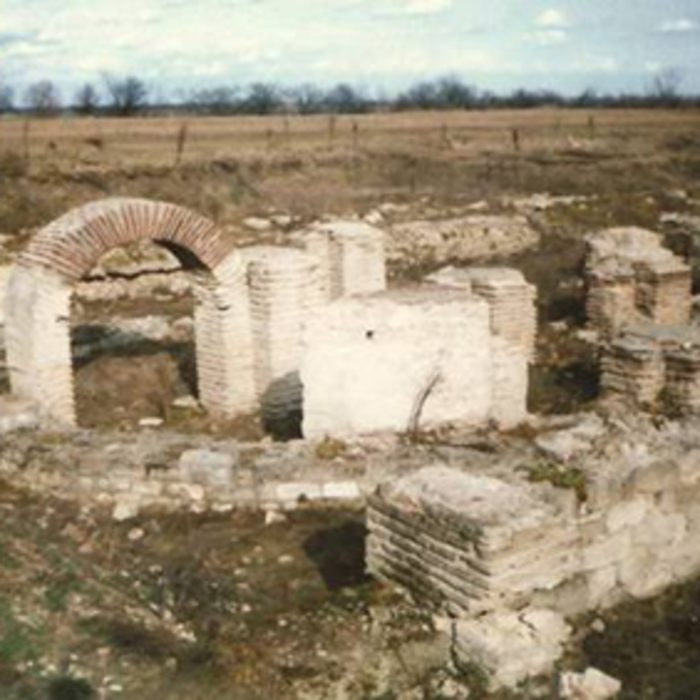 raciariq_700x700_crop_478b24840a