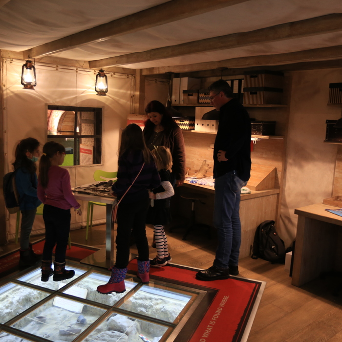 img-6651_700x700_crop_478b24840a