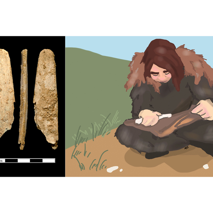 pics-for-exit-talk_700x700_crop_478b24840a