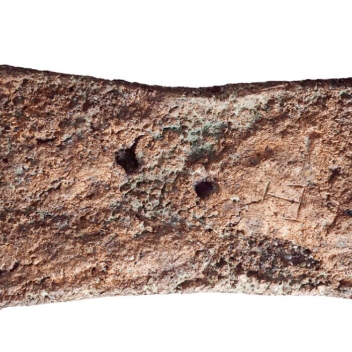 fig-1_700x700_crop_478b24840a