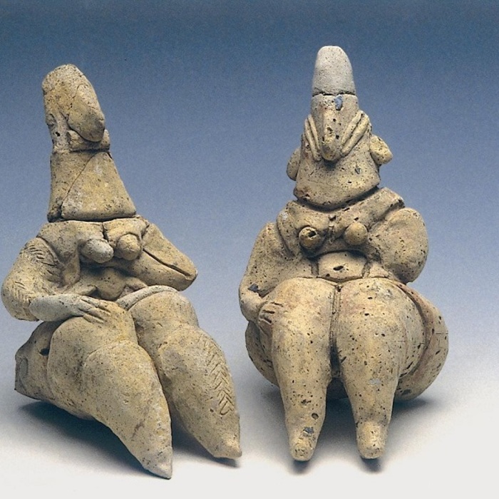 image1_700x700_crop_478b24840a