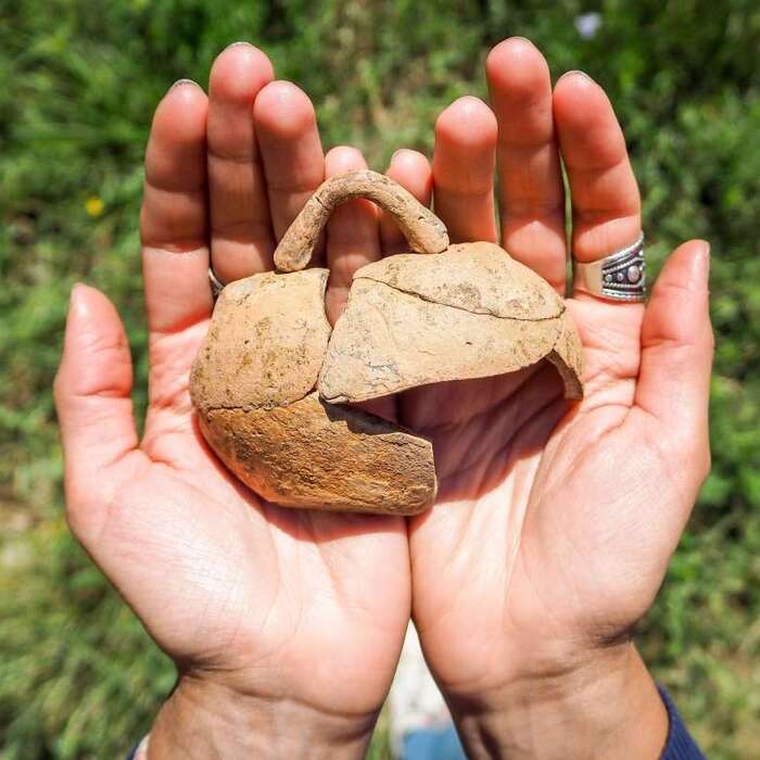 2_700x700_crop_478b24840a